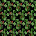 Hawthorn seamless pattern on black. Red fruits green leaves Art design stock vector illustration
